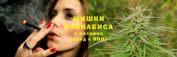 индика Бронницы