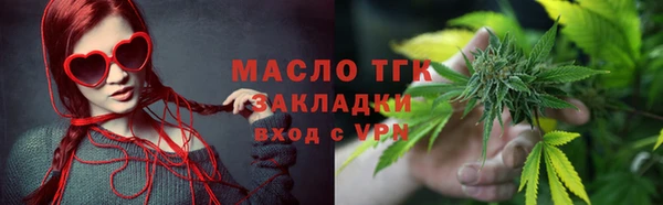 индика Бронницы