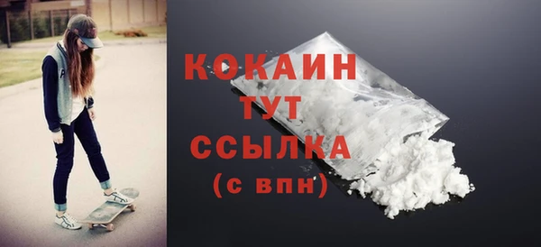 индика Бронницы