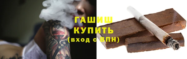 шишки Верея
