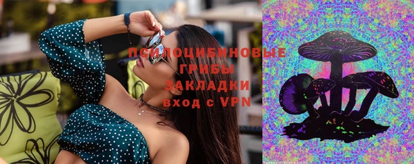 шишки Верея