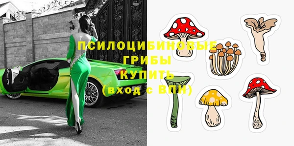 ALPHA PVP Верхний Тагил