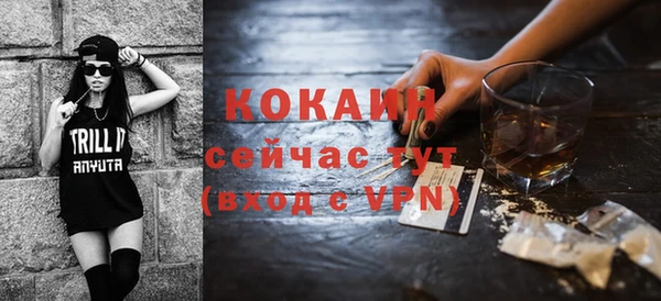 индика Бронницы