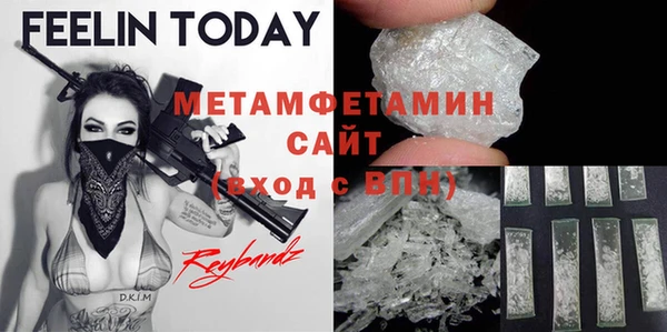индика Бронницы