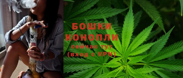 ALPHA PVP Верхний Тагил