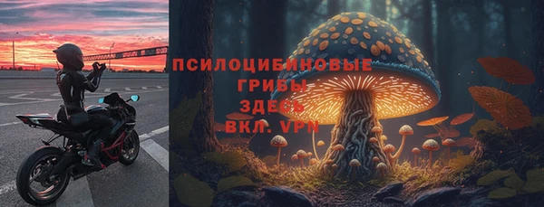 индика Бронницы