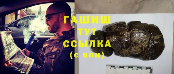 индика Бронницы