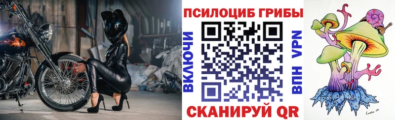 Псилоцибиновые грибы Cubensis  Кизляр 